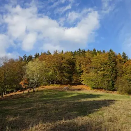 Ruhiges Ferienhaus Am Waldrand Mit Sauna Und Kamin - Hellaberg II Langenbach  Exterior photo