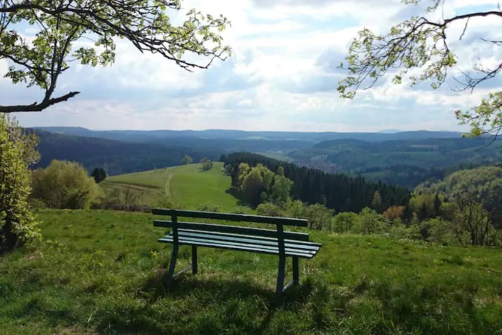 Holiday home Ruhiges Am Waldrand Mit Sauna Und Kamin - Hellaberg Ii Langenbach (Thuringia)