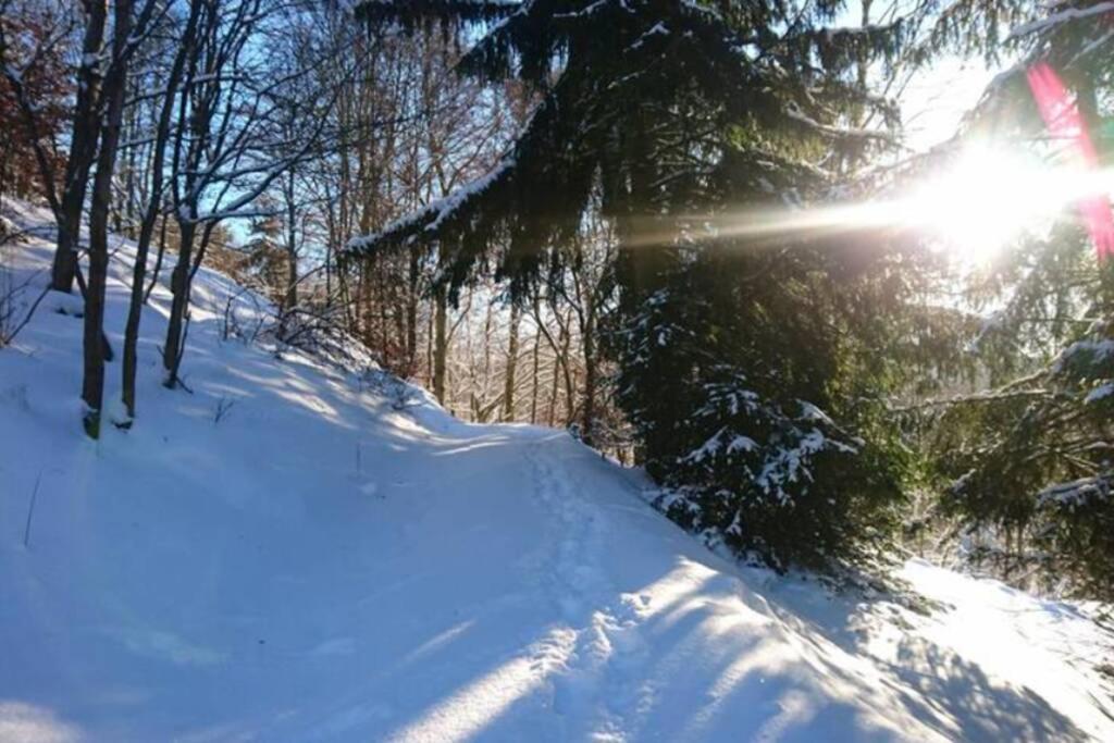 Holiday home Ruhiges Am Waldrand Mit Sauna Und Kamin - Hellaberg Ii Langenbach (Thuringia)