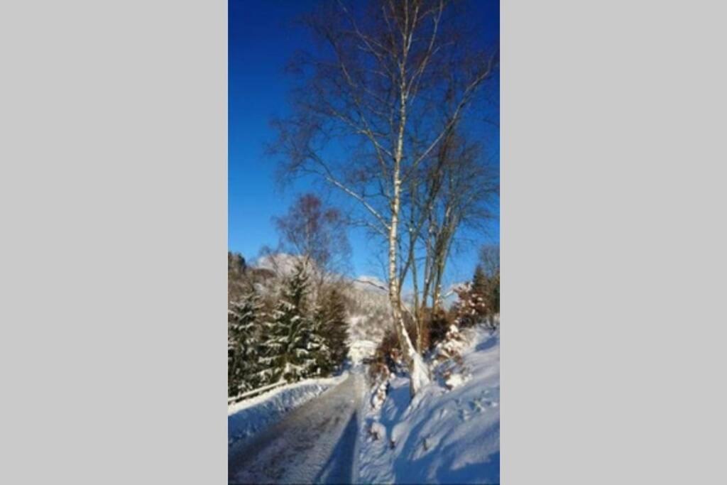 Ruhiges Am Waldrand Mit Sauna Und Kamin - Hellaberg Ii Holiday home